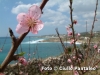 foto-ciullo-pantaleo-002
