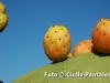 foto-ciullo-pantaleo-007
