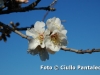 foto-ciullo-pantaleo-017