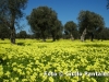 foto-ciullo-pantaleo-021