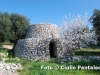 foto-ciullo-pantaleo-023