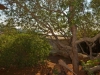 Image_008